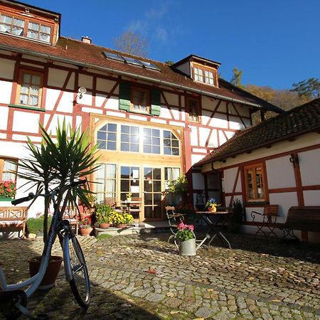 Gaestehaus Pfefferle Hotel Garni Und Ferienwohnungen Sigmaringen Dış mekan fotoğraf
